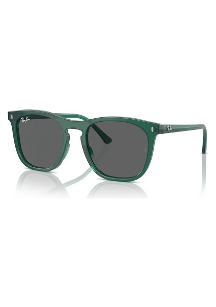 Ray-Ban Unisex Güneş Gözlüğü