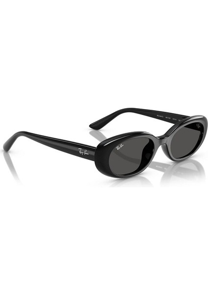 Ray-Ban Unisex Güneş Gözlüğü